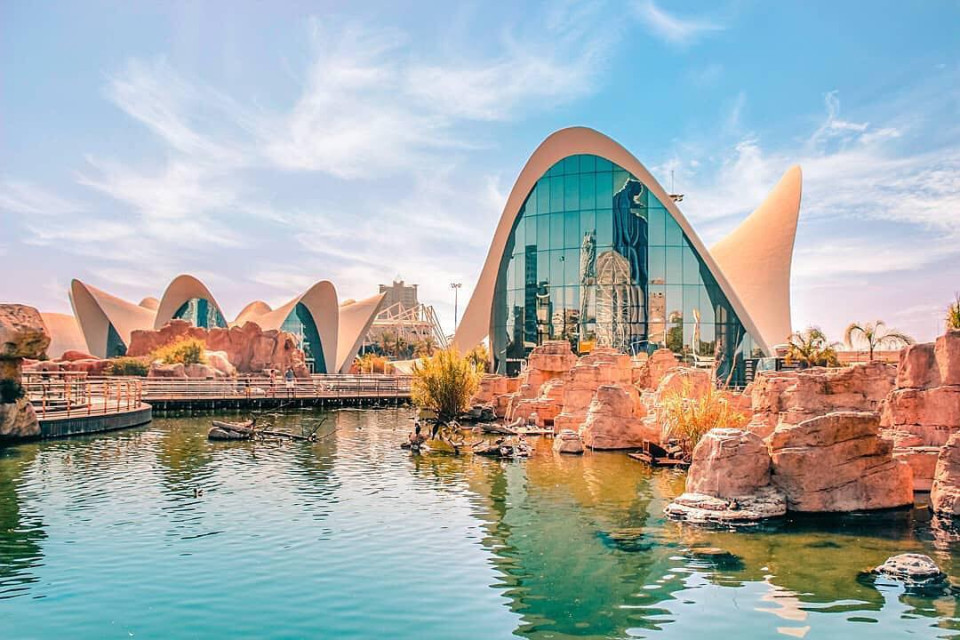 The City of Arts and Sciences in Valencia.