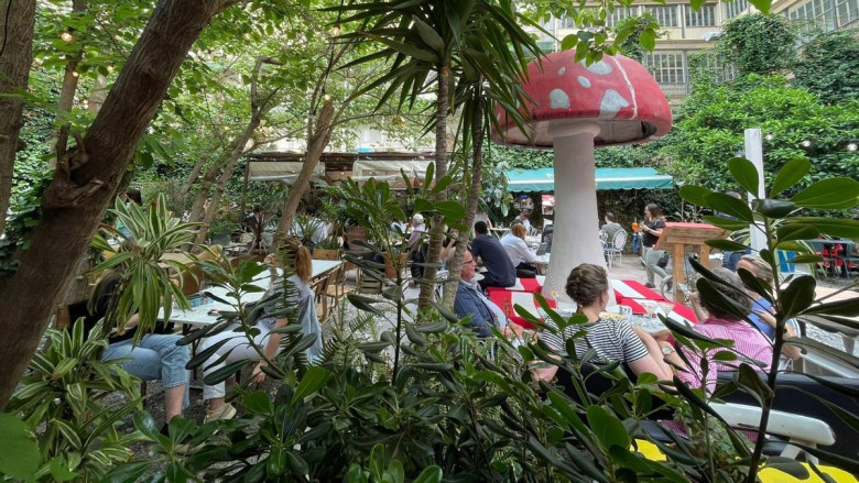 Alice Secret Garden Bar